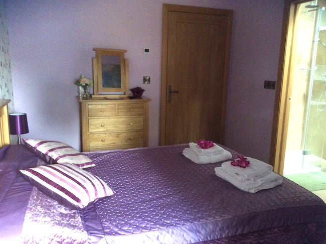 Guest House in Newport, Pembrokeshire